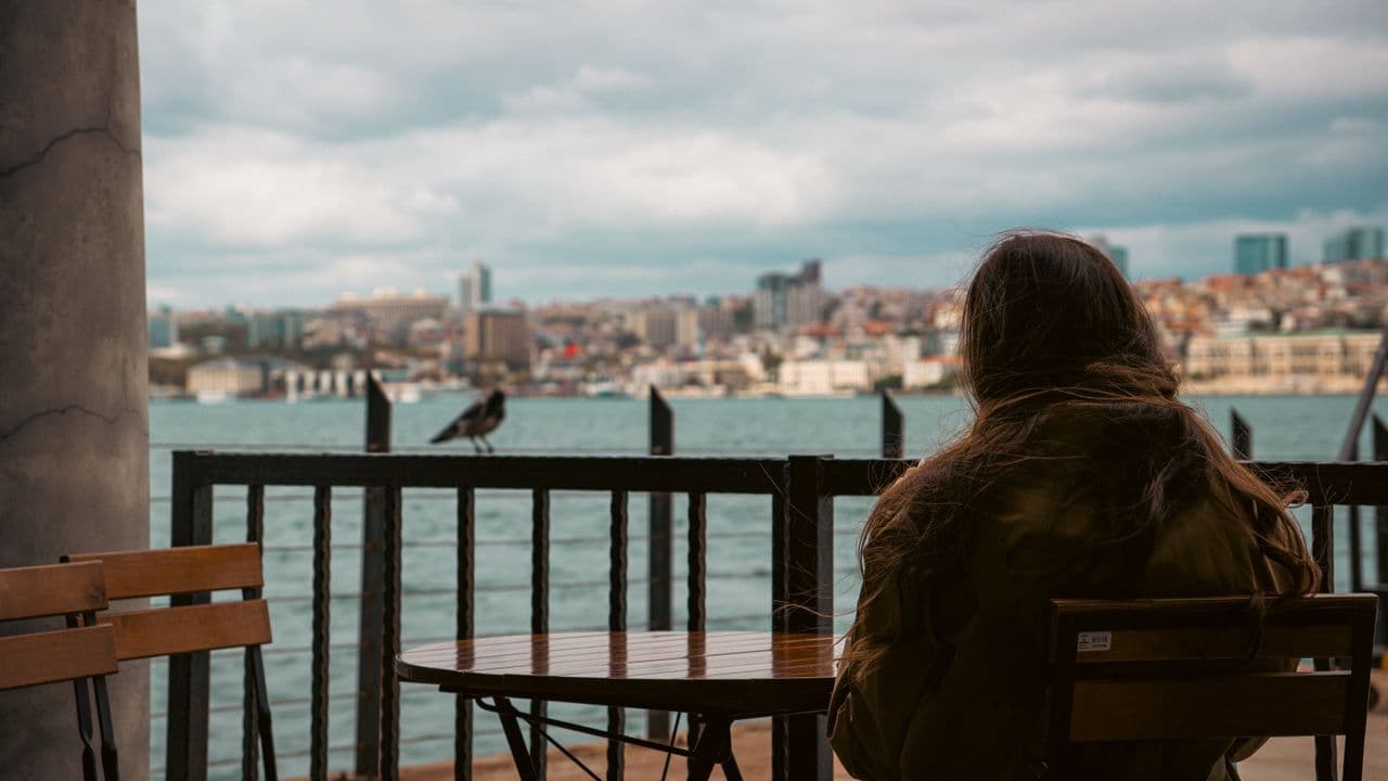 Person watching bird